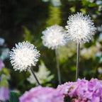 2-Pack Solar Dandelion Garden Lights