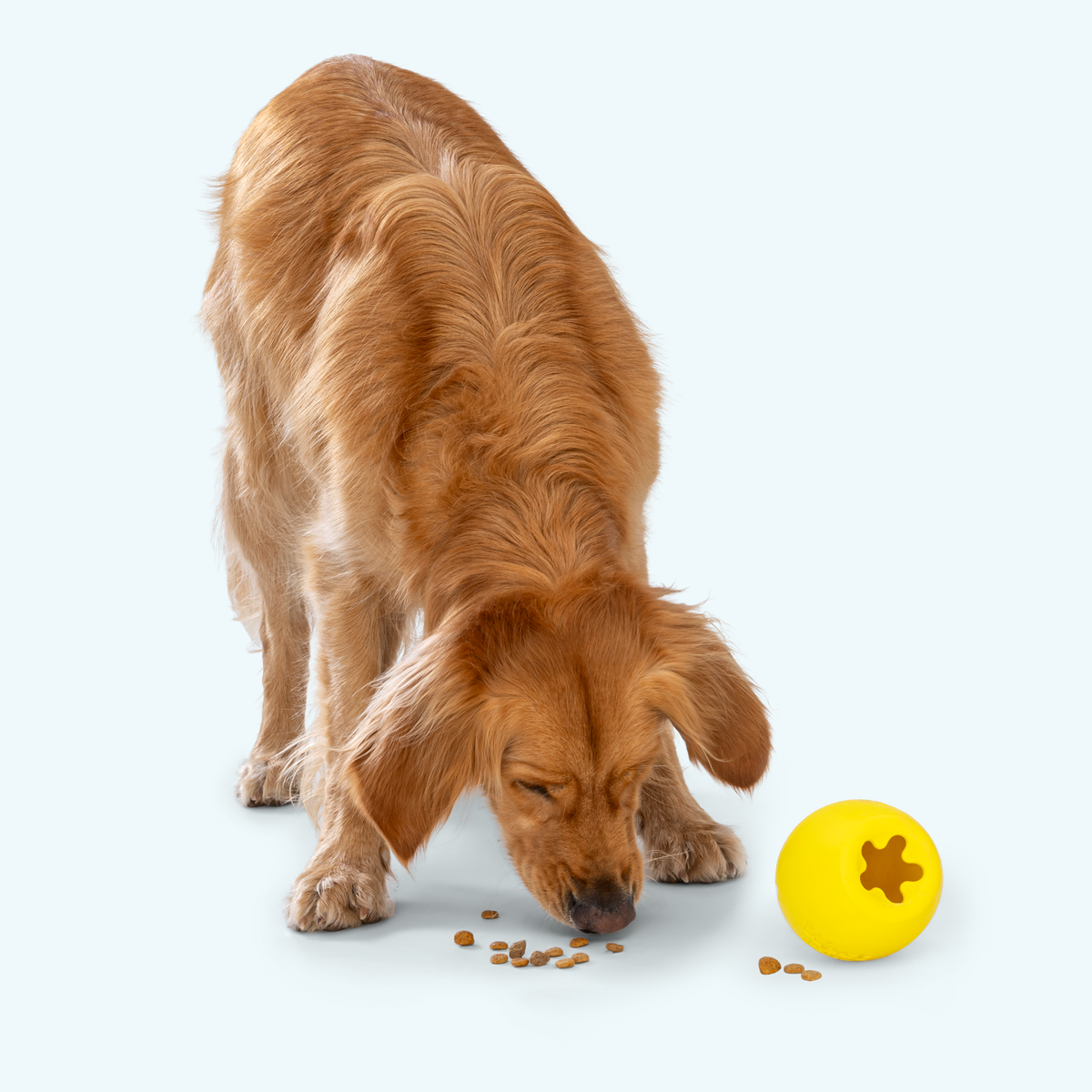 West Paw Rumbl Treat-Dispensing Puzzle Dog Toy