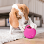 West Paw Rumbl Treat-Dispensing Puzzle Dog Toy