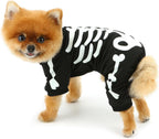 Glow-in-the-Dark Skeleton Dog Costume
