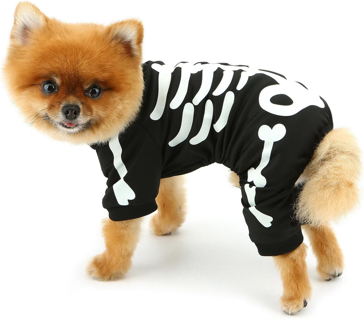 Glow-in-the-Dark Skeleton Dog Costume