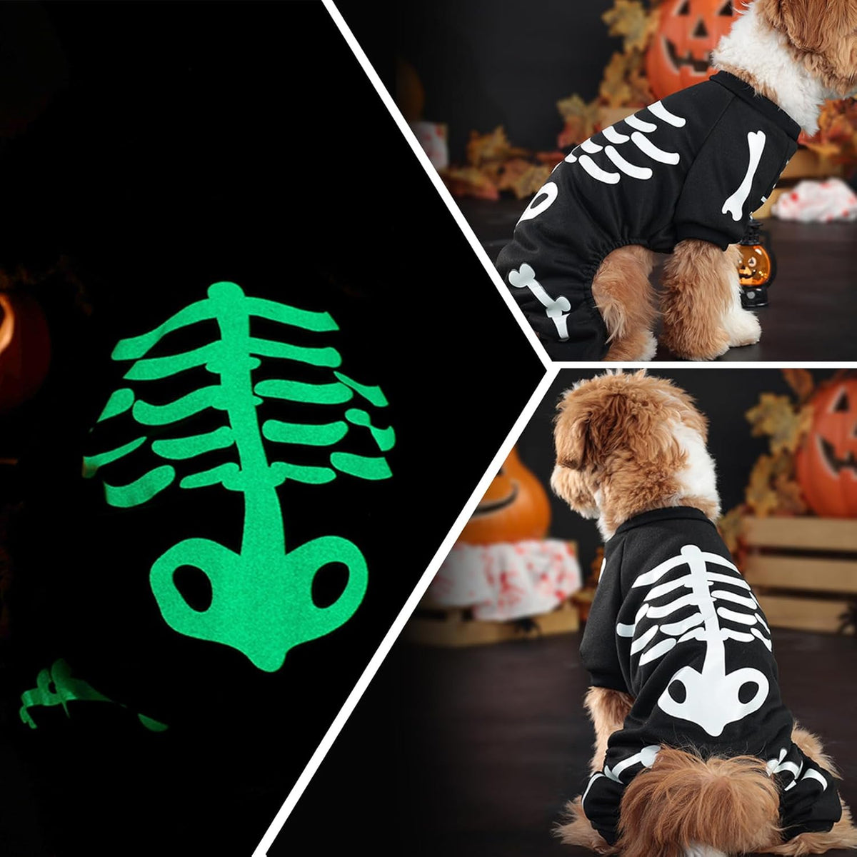 Glow-in-the-Dark Skeleton Dog Costume