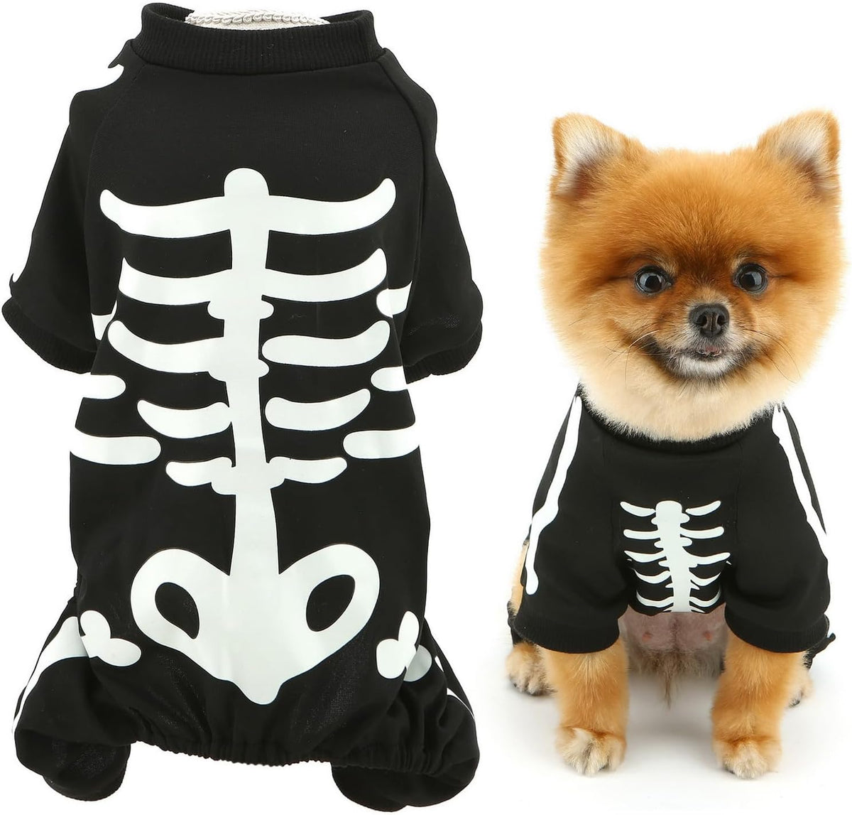 Glow-in-the-Dark Skeleton Dog Costume